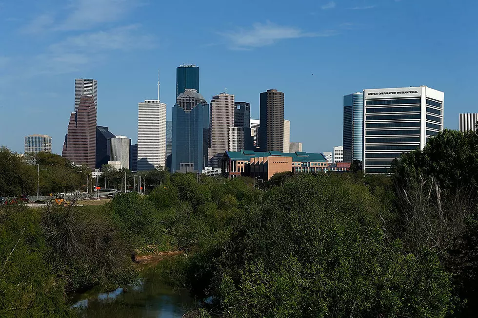 Houston is the Most Diverse City in the United States