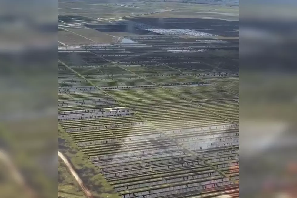 Thousands Of Acres Of Texas Solar Farm Destroyed By Hail