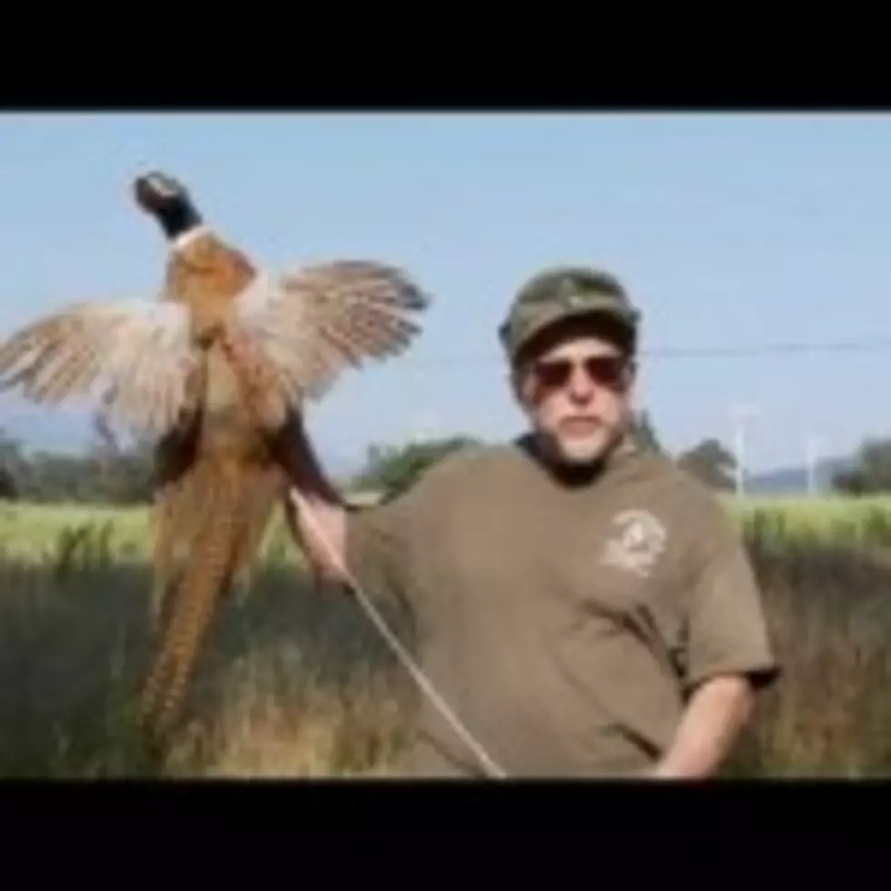 Low Budget Taxidermy Ad Gets Songified [VIDEO]