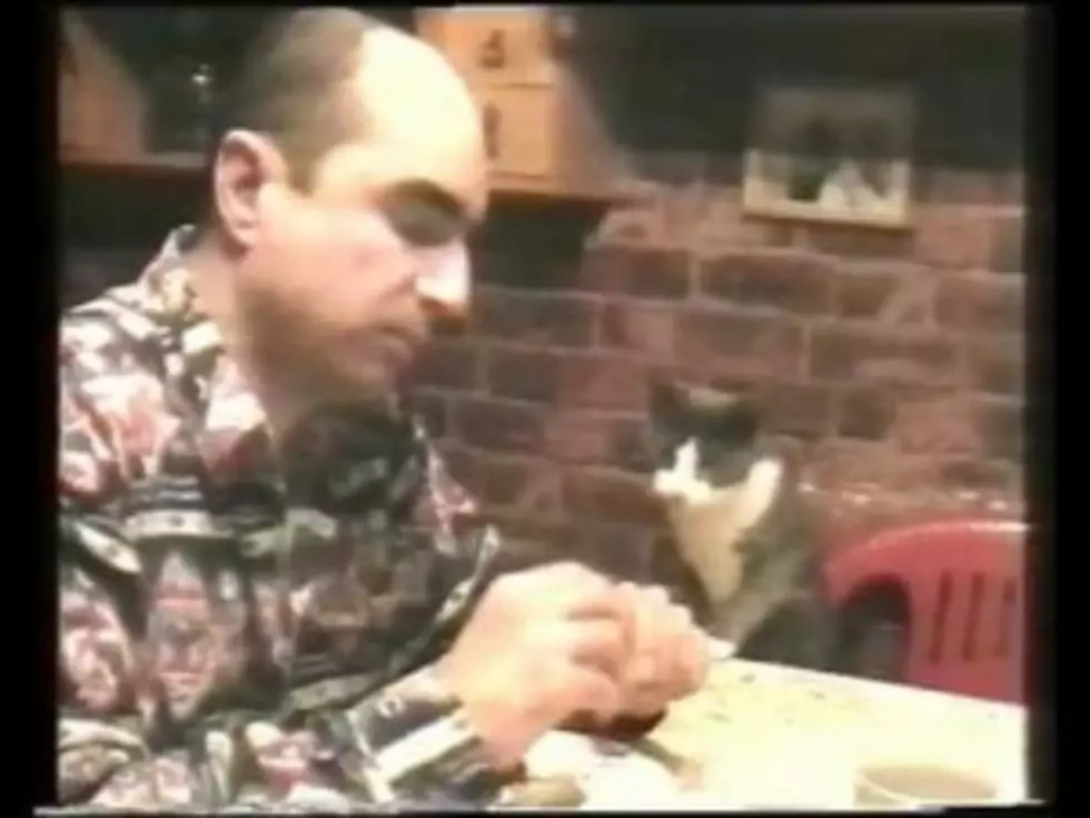 The Cat with Table Manners [VIDEO]