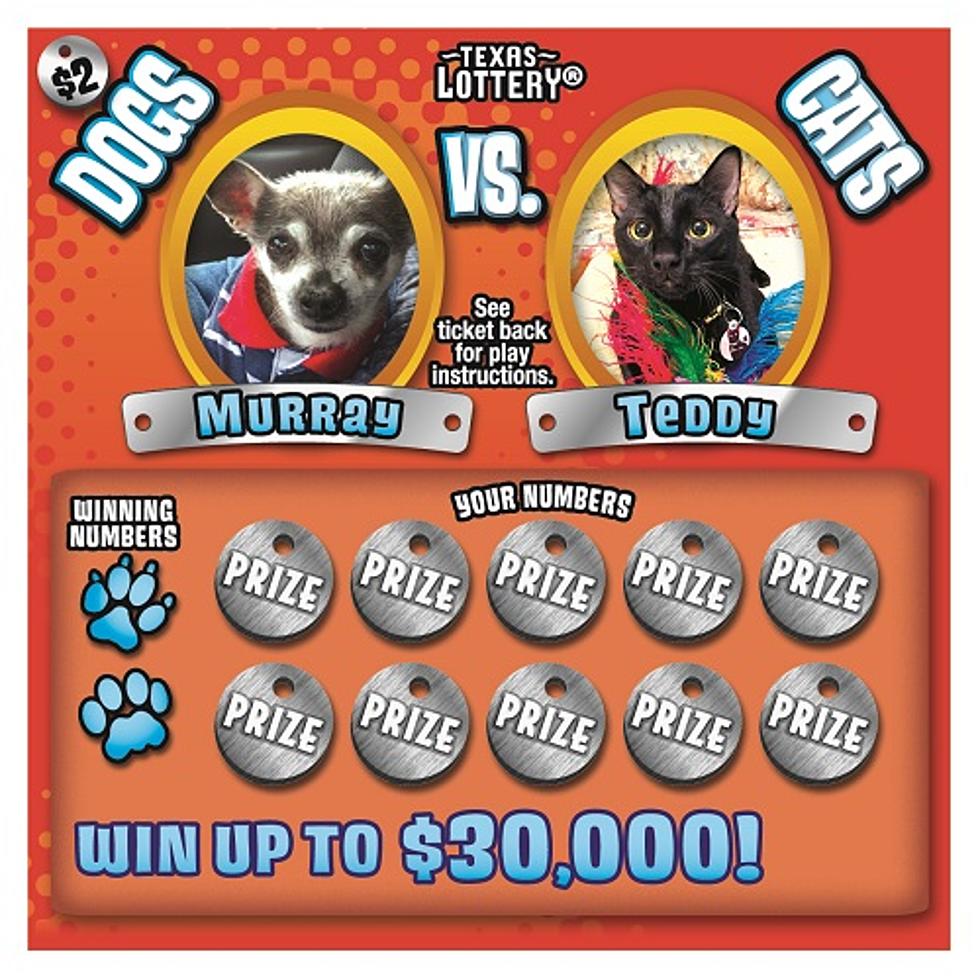 Victoria Rescue Dog Featured on New Texas Lottery Ticket