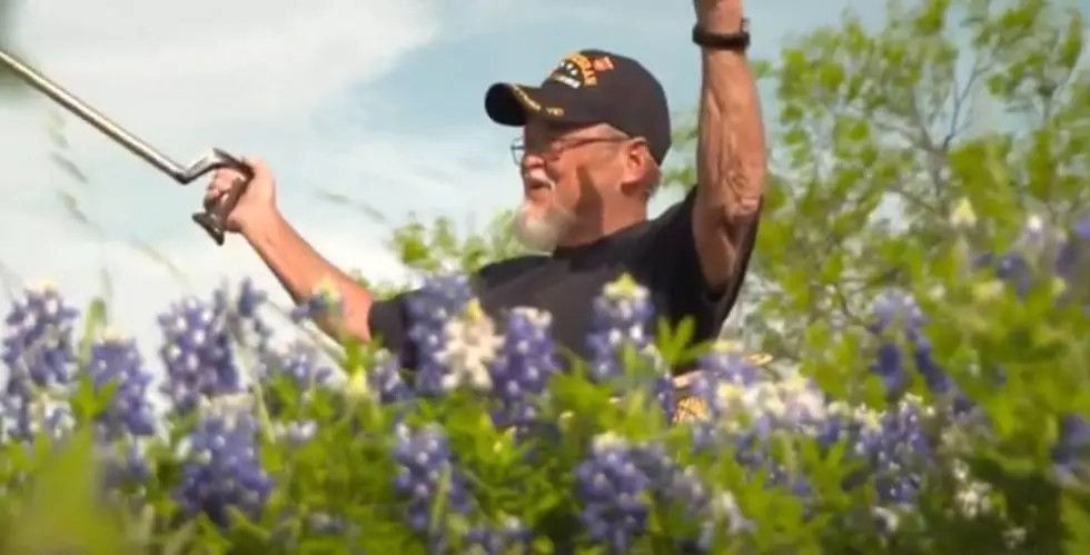 See Texas Veteran's Jaw Dropping 35-Acre Bluebonnett Farm