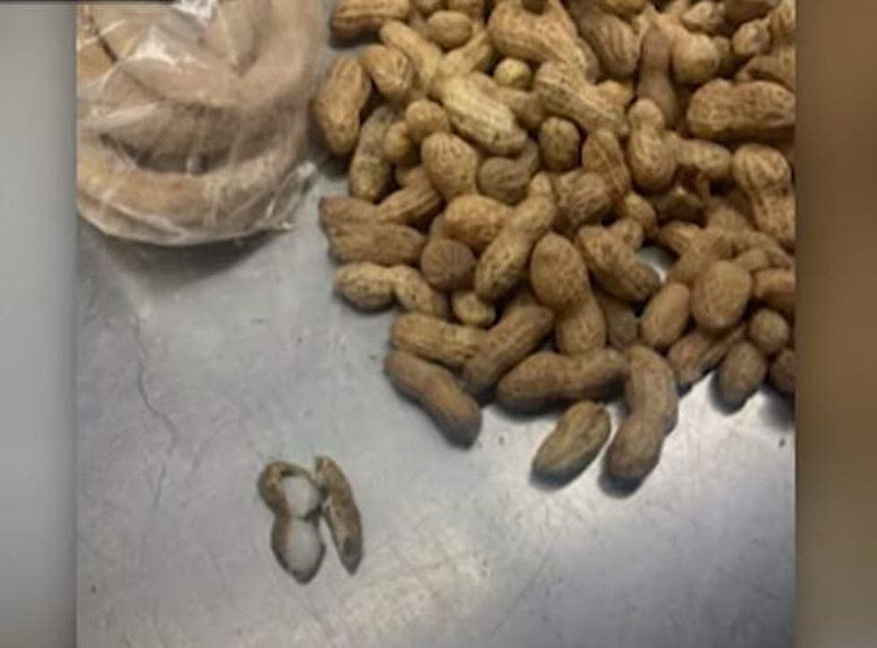 Crazy Meth Heads Hide Crystal In Empty Peanuts Bound for Texas