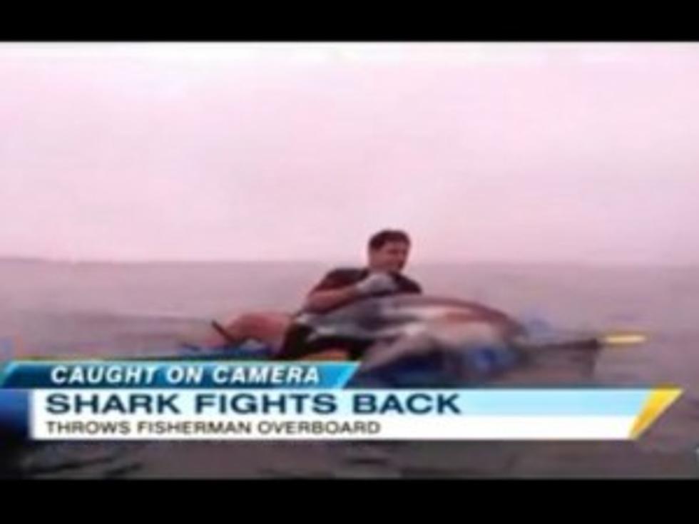 Shark Pulls Fisherman Into the Sea [VIDEO]