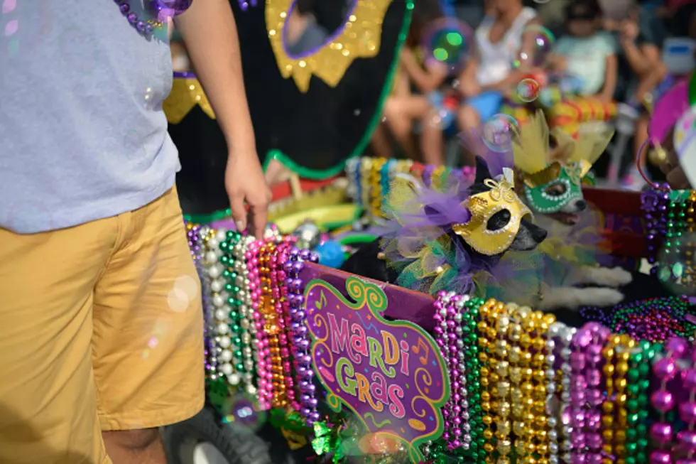 Are You Ready For The Fat Tuesday Street Dance?