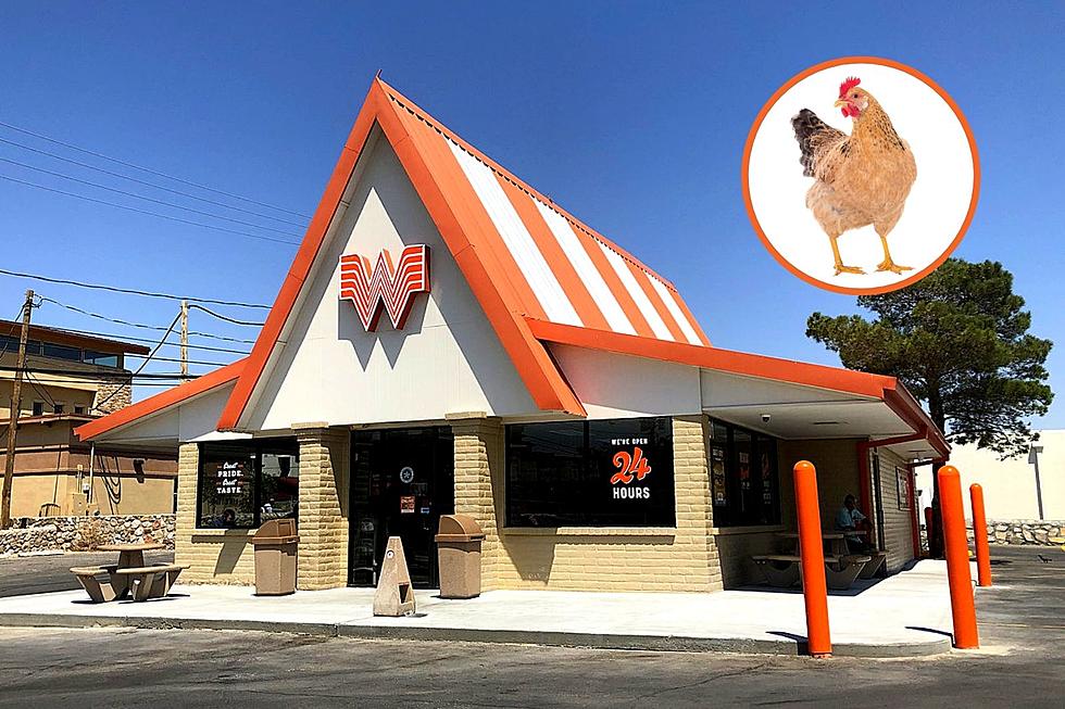 Victoria Whataburger is Out of Chicken and Texans are SHOOK