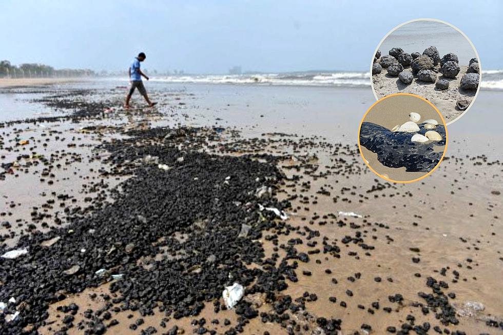 What in TAR-Nation is Popping Up On Texas Beaches?