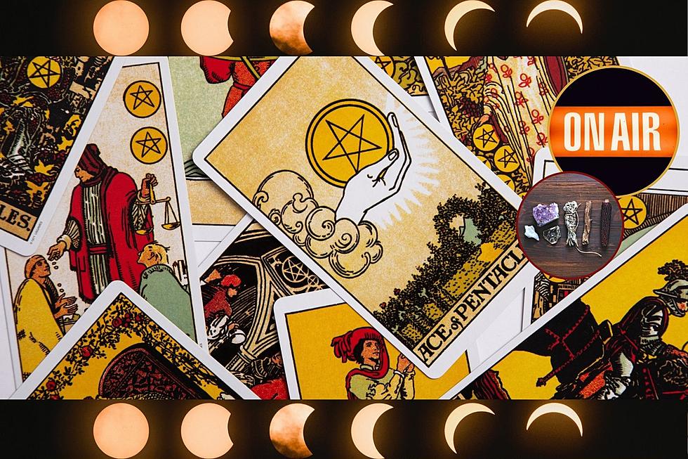 Spooky with Pooky: Thrilling Free Tarot Readings in the Studio All Month Long