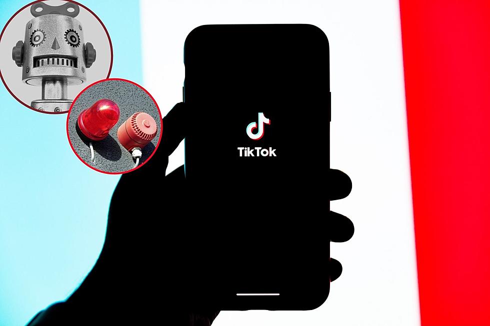 The Dark Side of Alexa: Suggests Dangerous TikTok Challenge to Young Child