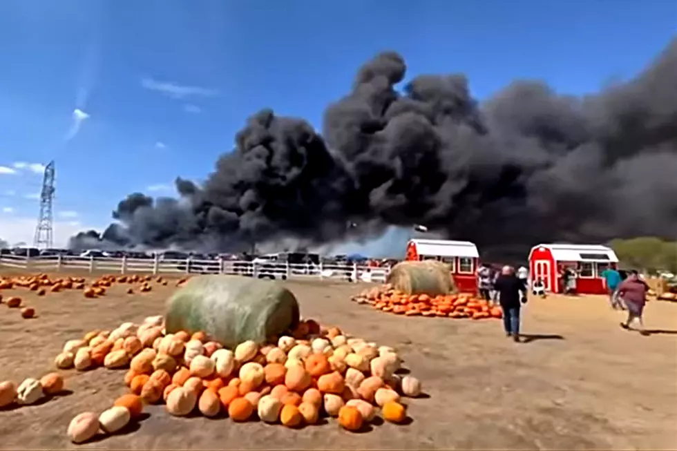 73 Vehicles Scorched After Massive Fire Engulfs TX Pumpkin Patch