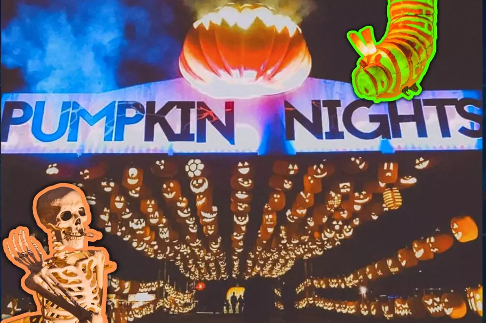 5,000+ Carved Pumpkins Light Up The Night at This TX Experience
