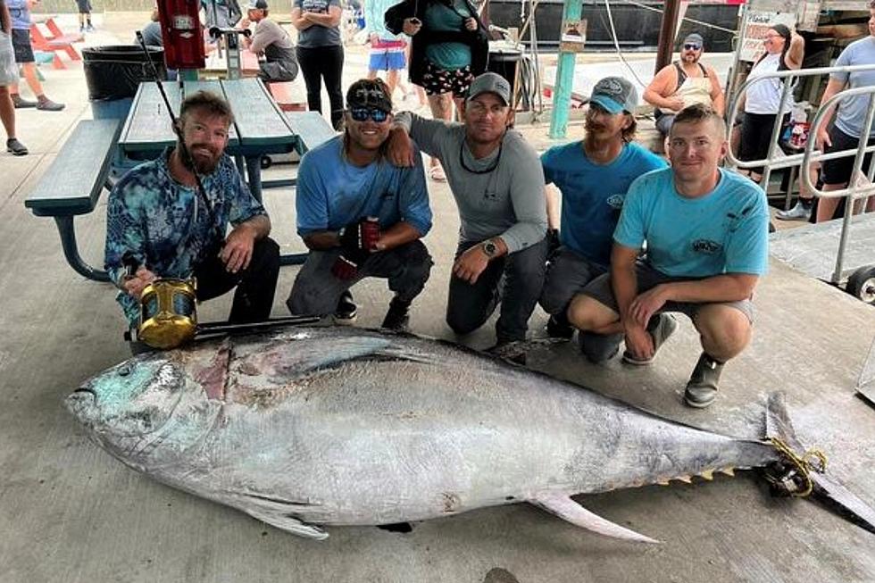 Enormous 676 Pound Bluefin Tuna Caught off Port Aransas Shore