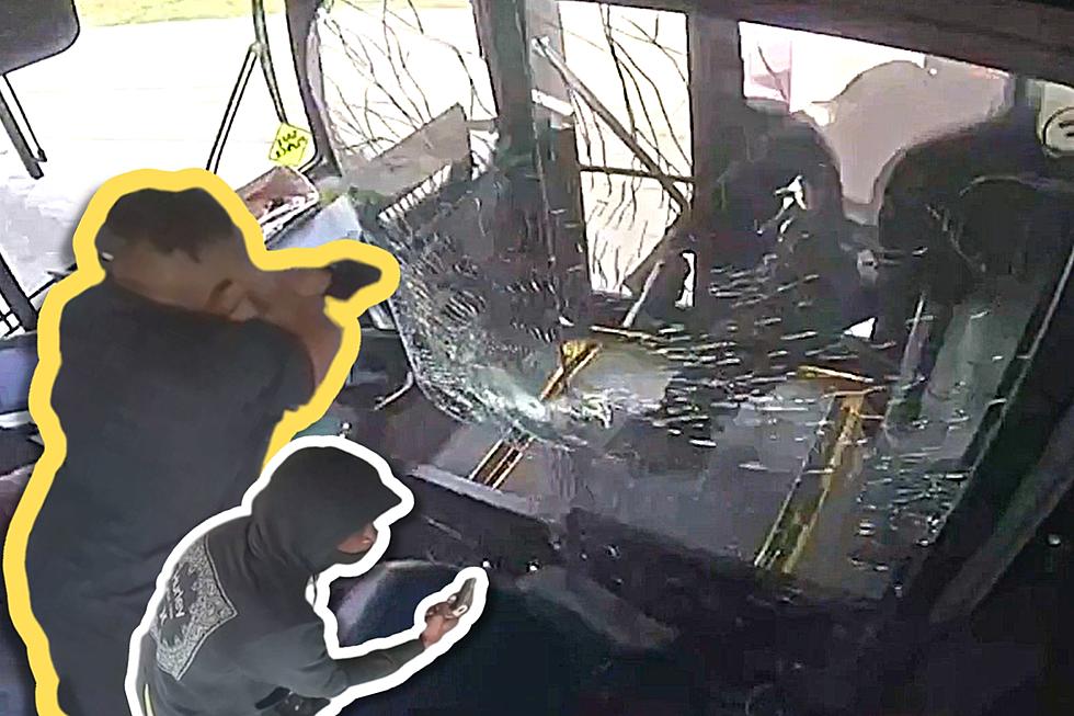 Injured Bus Driver Fired After Being Shot by a Violent Passenger