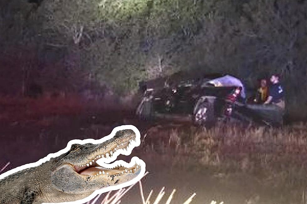 Pregnant Woman and Unborn Child Tragically Killed by Alligator