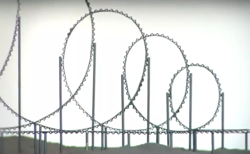 Engineer Creates Euthanasia Roller Coaster To Give You One Last Thrill