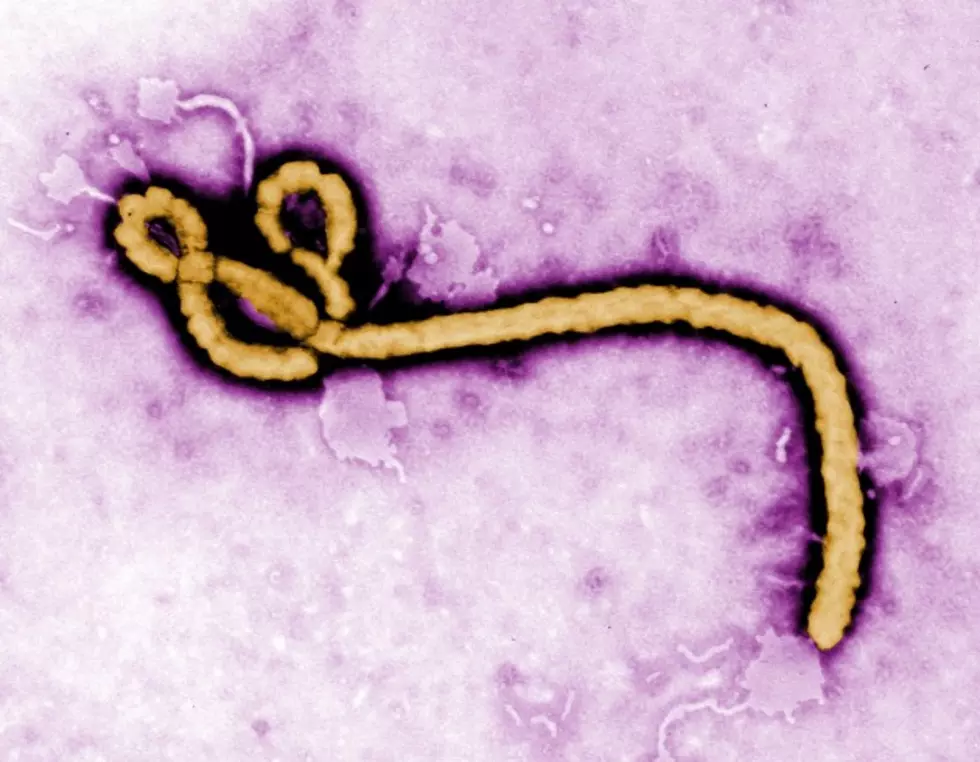 BSA Amarillo Currently On Lock-Down Due To Patient Showing Ebola Symptoms