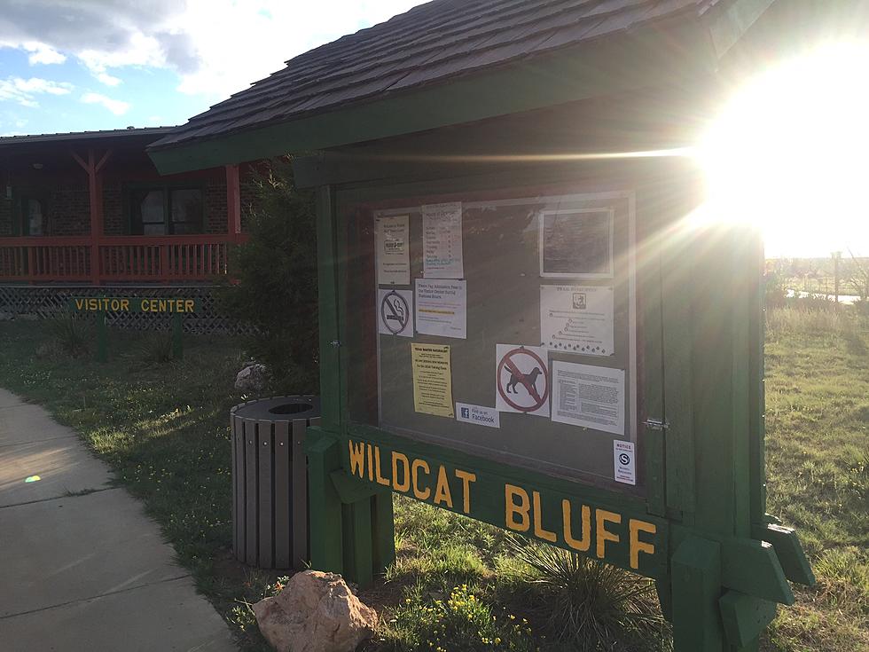 Wildcat Bluff Nature Center Celebrates Earth Day