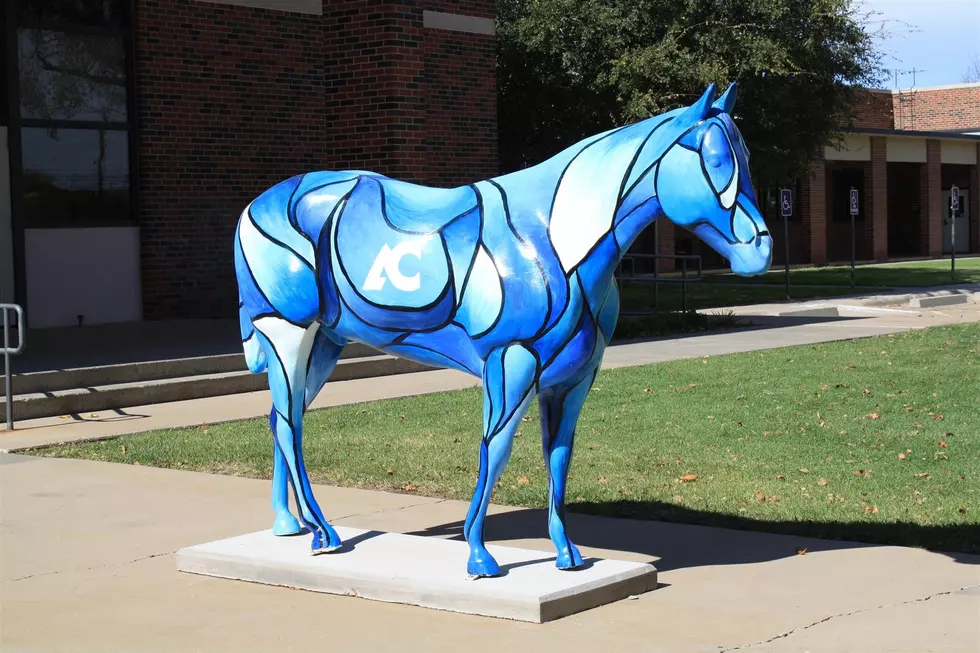 It&#8217;s Time Again To &#8220;Deck The Herd&#8221; Of Painted Horses In Amarillo