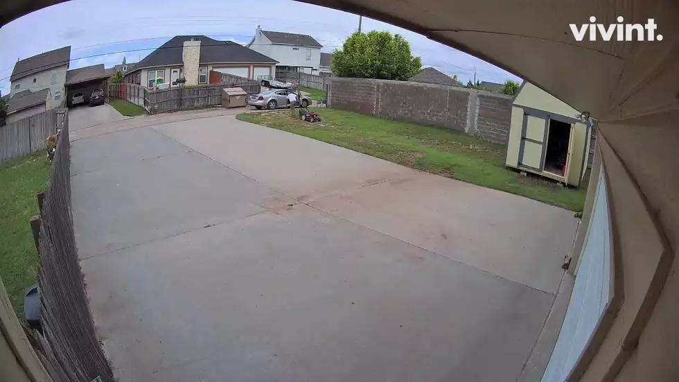 [Pics + Video] Amarillo Man Steals Mower in Broad Daylight