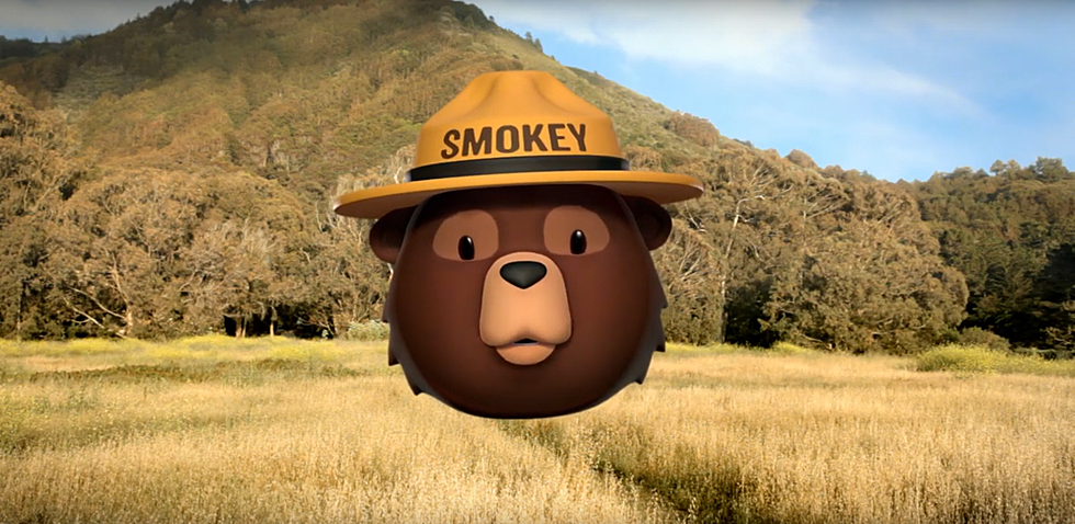 Get Ready to Celebrate Smokey Bear&#8217;s Birthday in Amarillo