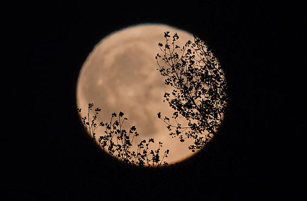 This Friday 13th Gets Spooky With Appearance of Full Harvest Moon