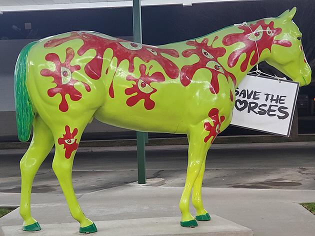 Be On The Lookout For Save The Horses Signs In Amarillo