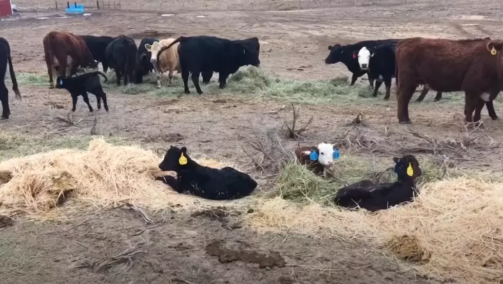 7 GIFs That Describe Your Life in The Texas Panhandle