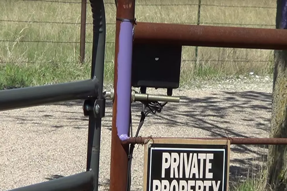 What Purple Lines Painted on Fences Mean in the State of Texas