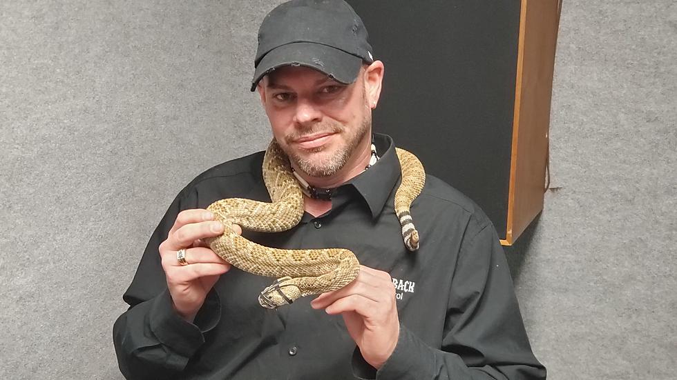 Checking In With Our Rattlesnake Guy On What To Do This Season