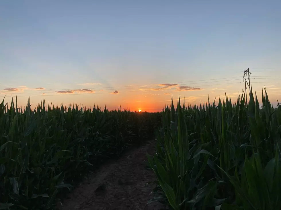 Leonard Farms is Ready to Scare the Heck Out of You in Amarillo