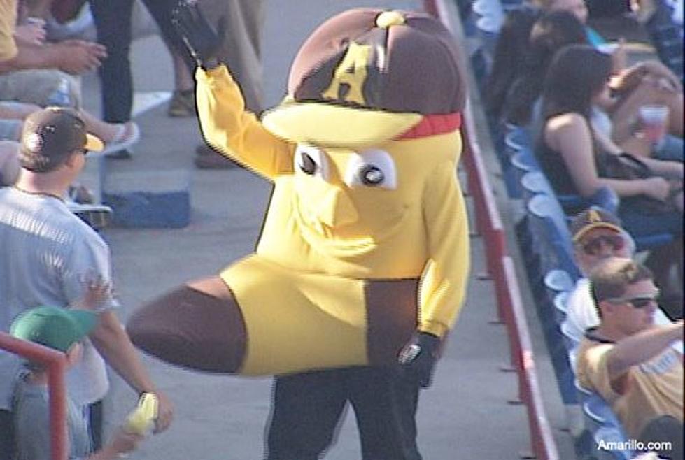 Amarillo Remember That Mascot, Right? Here&#8217;s What You Don&#8217;t Know