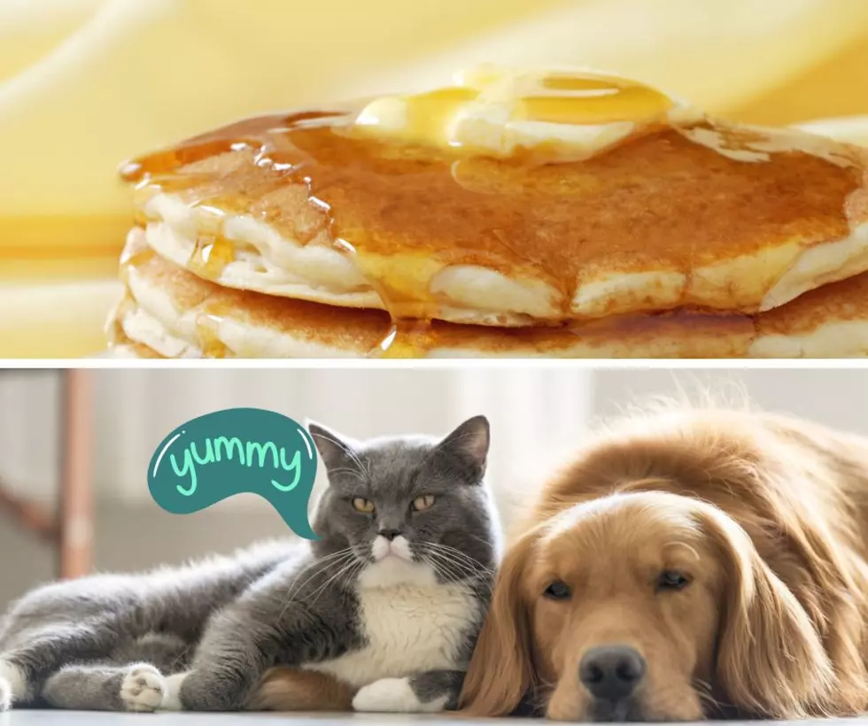 Amarillo Dines for the Pets - Pancakes Pups and Donations Oh My! 