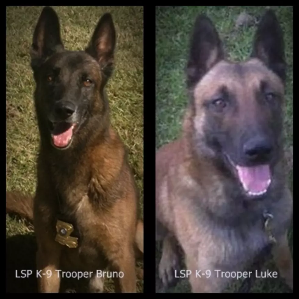 Missing Louisiana State Police Dogs Found