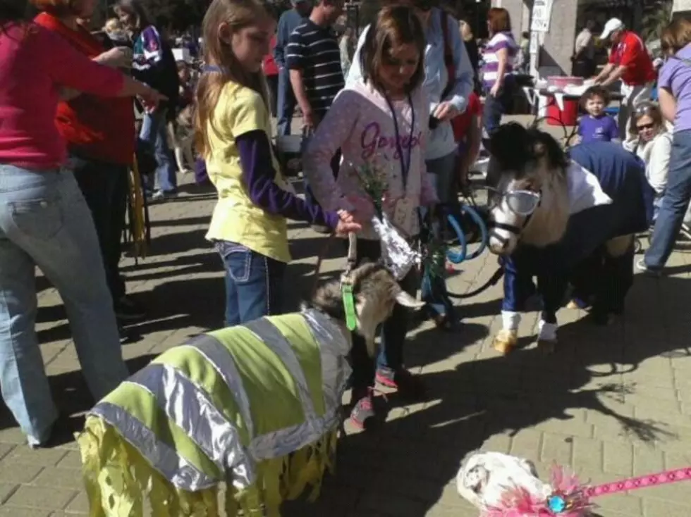 Another Successful Krewe of Barkus &#038; Meoux Parade Is In The Books
