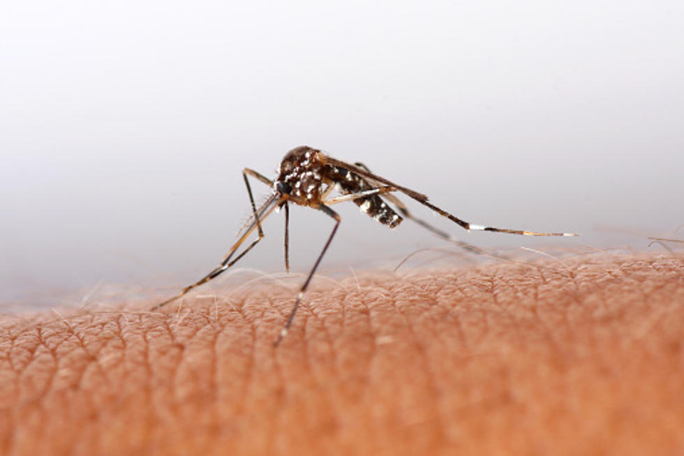 More Louisiana West Nile Cases Confirmed