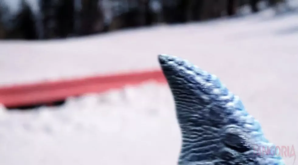 New Movie ‘Avalanche Sharks’ Looks to Ride Wave of ‘Sharknado’ Success