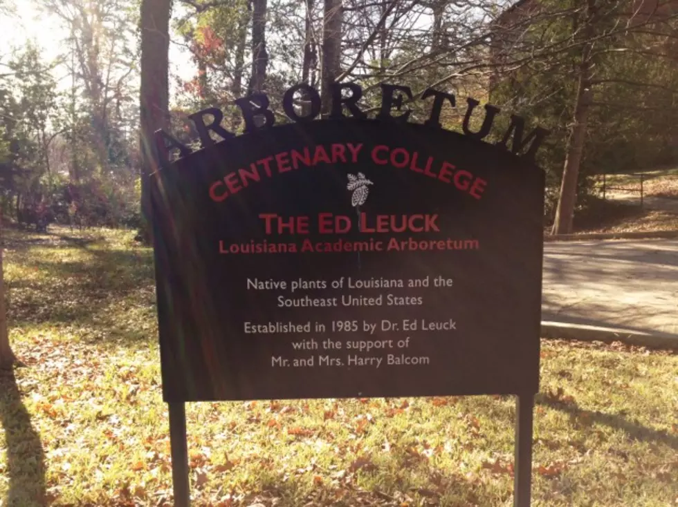 Centenary College&#8217;s Ed Leuck Louisiana Arboretum Achieves National Accreditation, Recognition