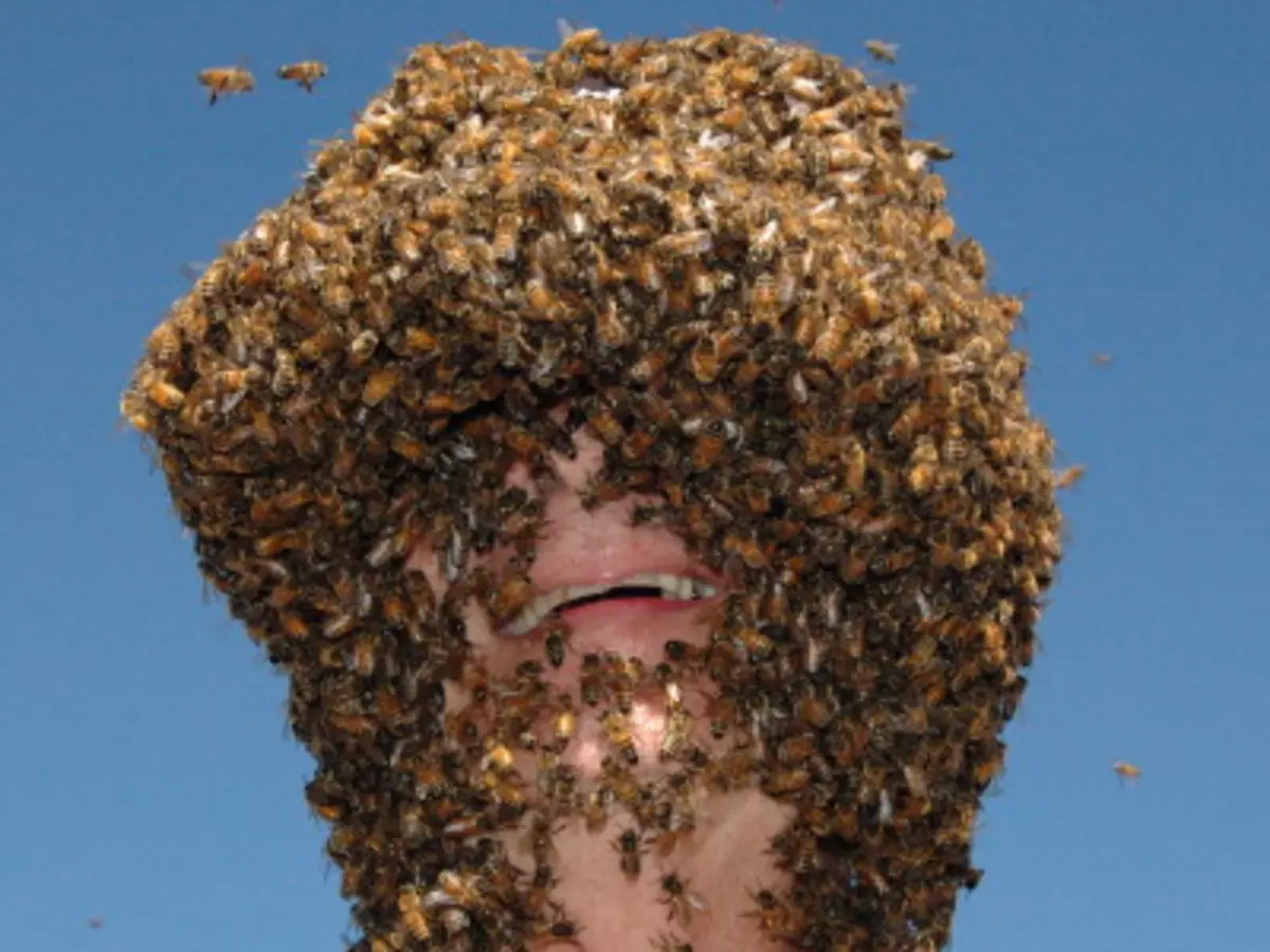 Какая голова пчел. Голова пчелы. Лицо пчелы. Человек пчела.