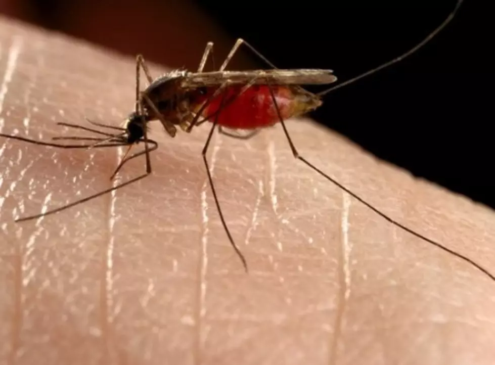 More West Nile Virus Cases Confirmed in Louisiana
