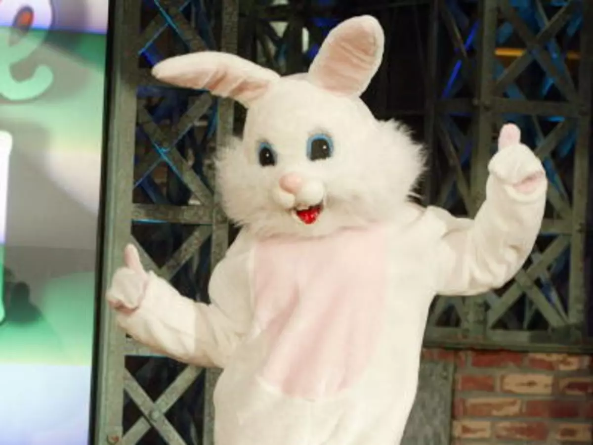 Registered Sex Offender Hired As Shopping Mall Easter Bunny [video]