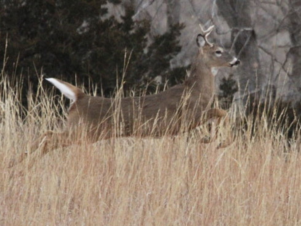 Flooding Causes Change In Deer Hunting Season
