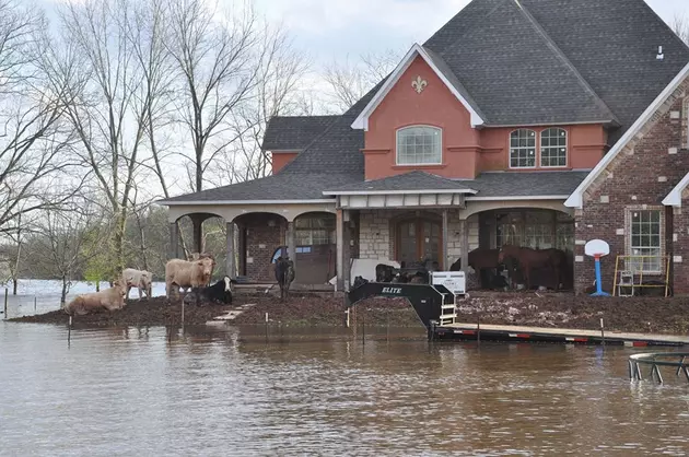 Ag Commissioner to Meet with Cattlemen, Farmers Affected by Flooding