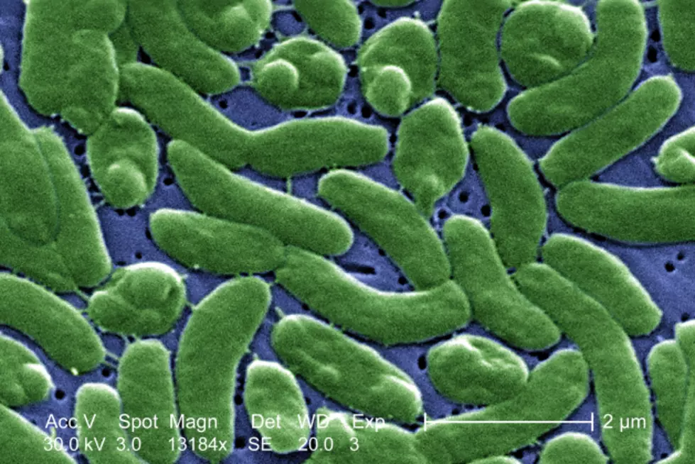 Woman Gets Flesh-Eating Bacteria In South Louisiana