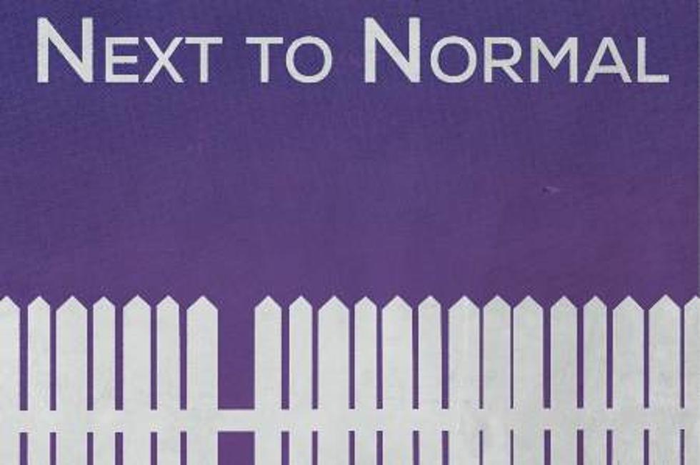 Stage Center&#8217;s &#8216;Next To Normal&#8217; Is A Slice Of Real Life