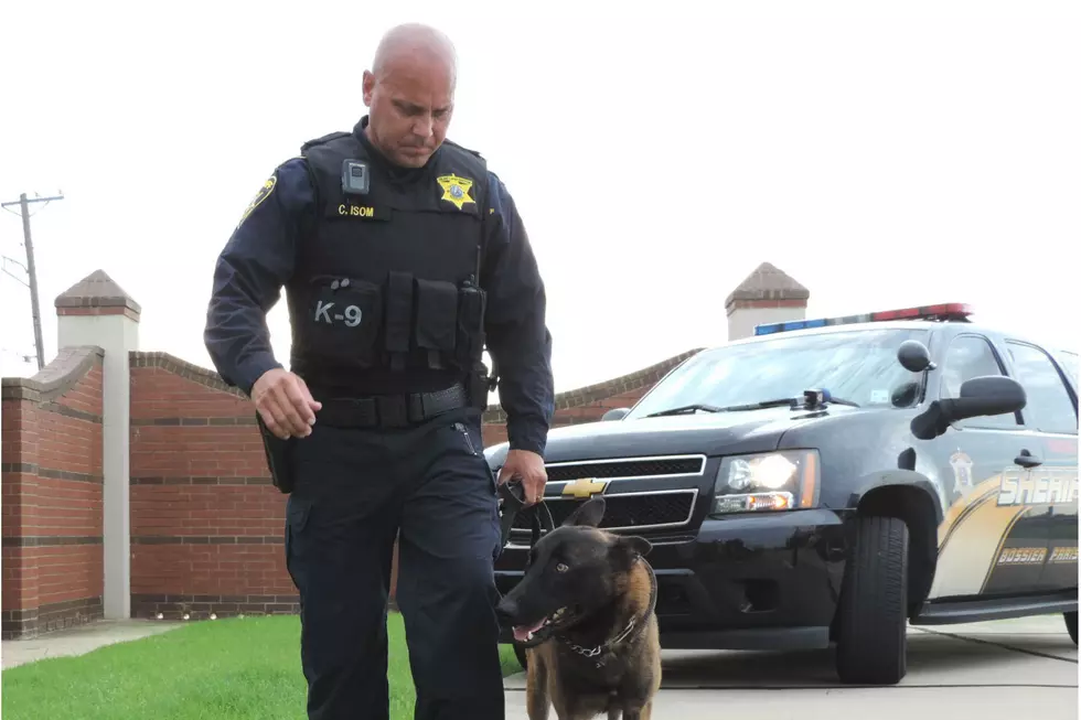 Bossier Sheriff’s K-9 Helps Solve String of Vehicle Burglaries