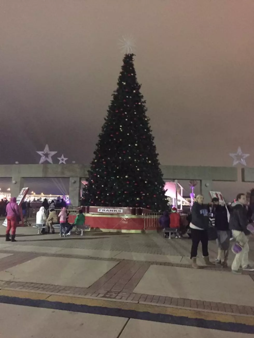 Shreveport Has a 50 Foot Christmas Tree Adorning the Riverfront