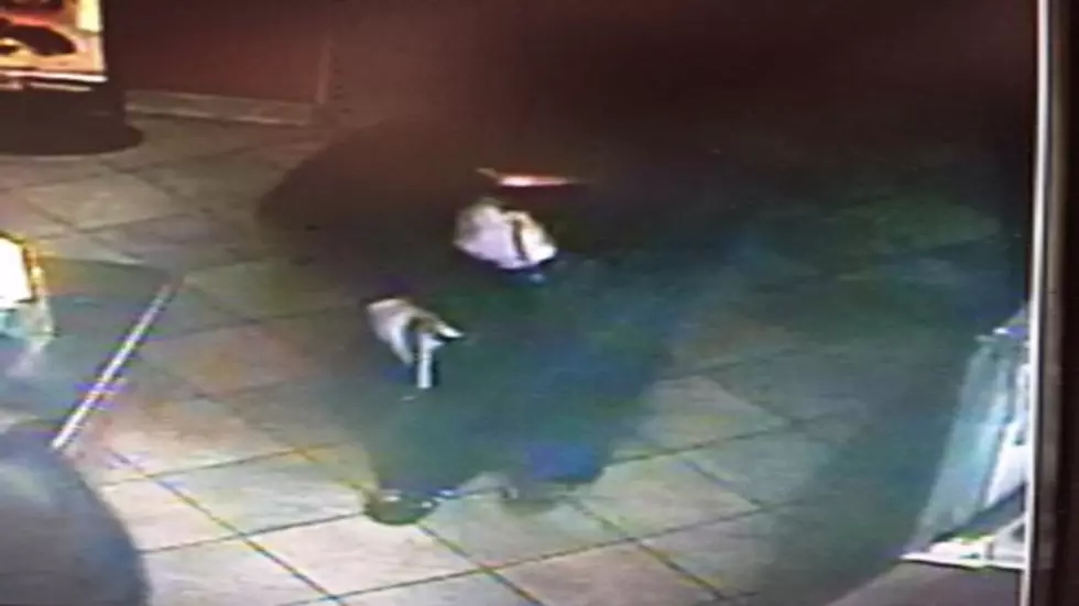 Armed Robber on The Run in Shreveport