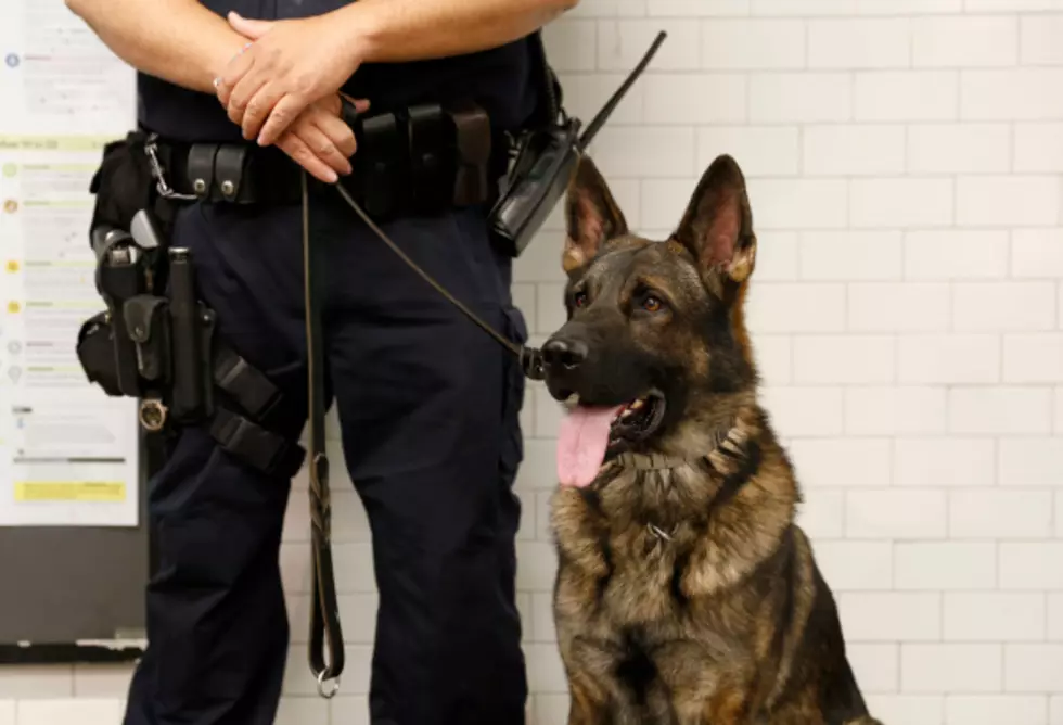 No More Police K-9 Officers in Bossier
