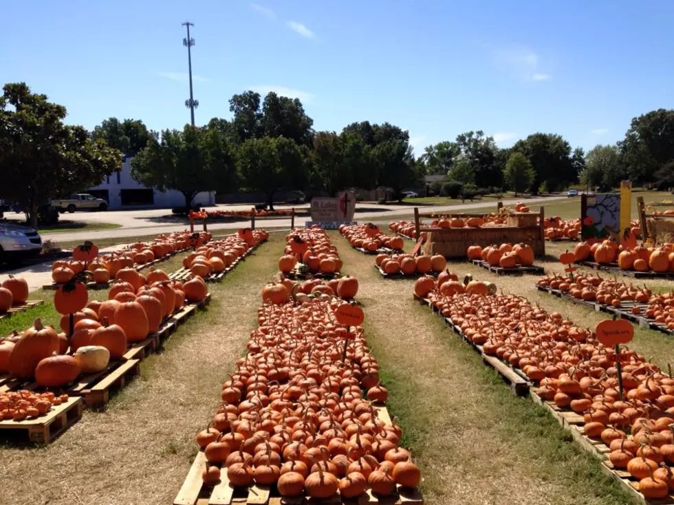 Over 13 Spooky Events for Halloween in Shreveport