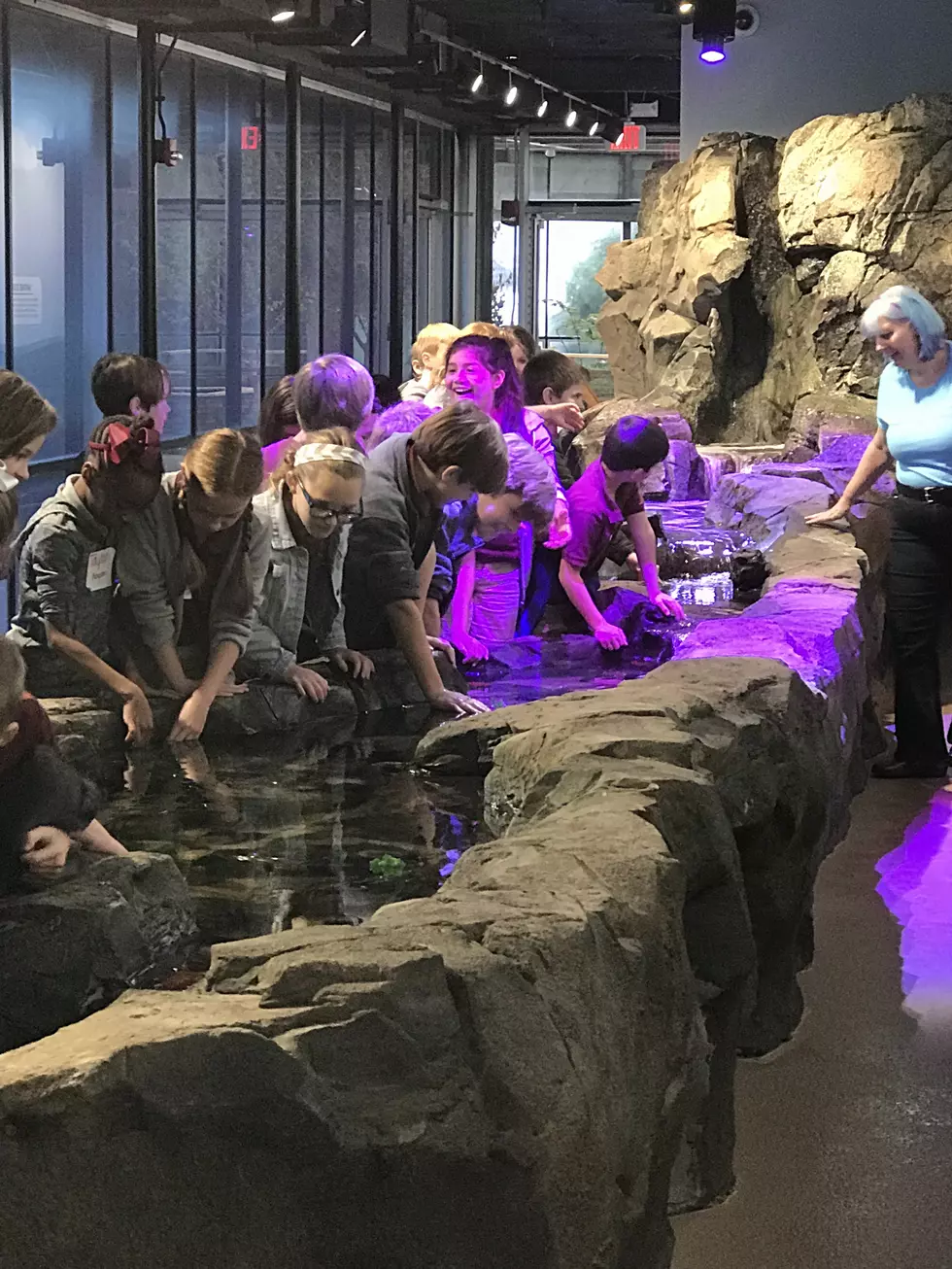 Checkout Day 1 at Shreveport&#8217;s New Aquarium